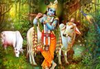 Krishna avatar